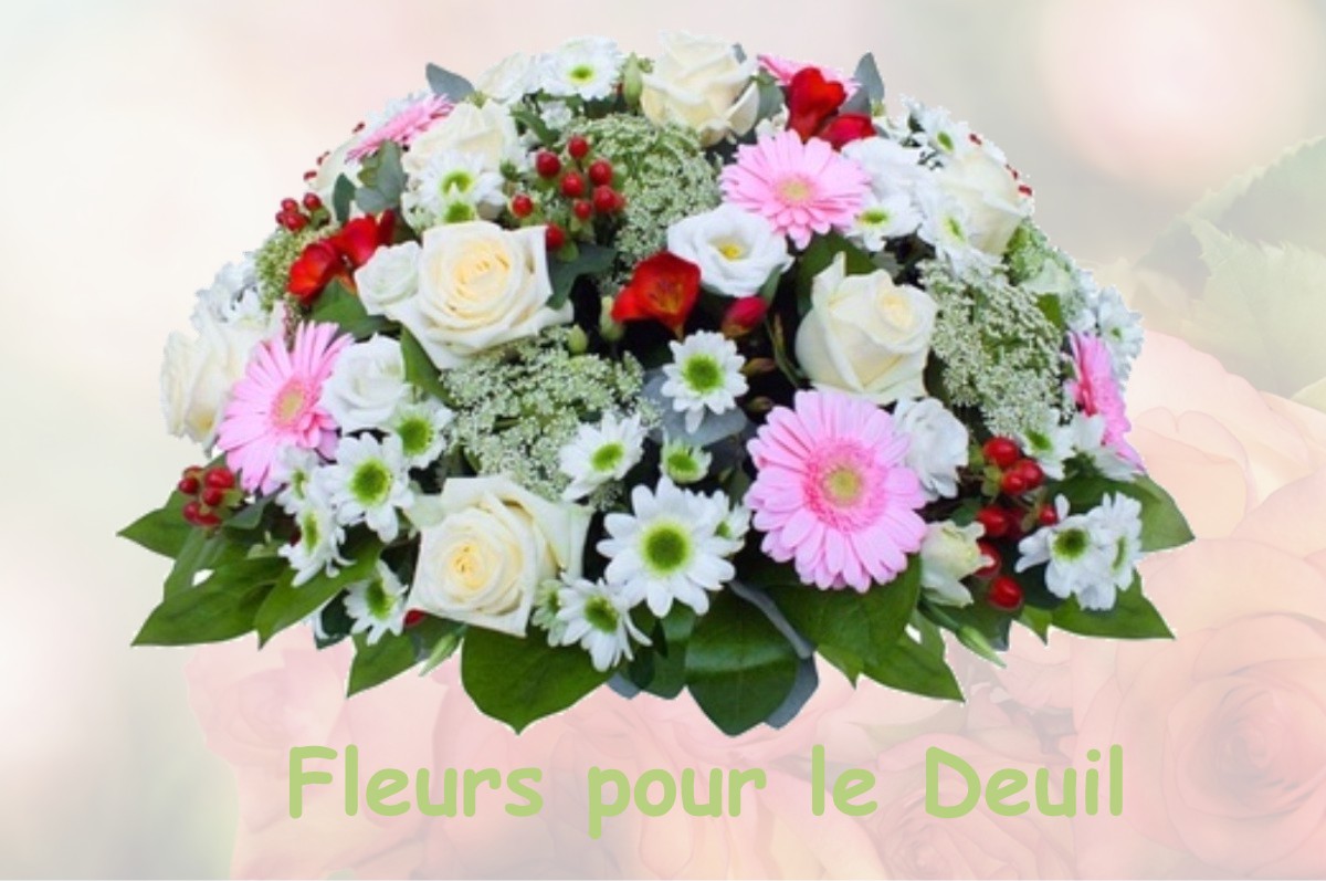fleurs deuil DOMPIERRE-SUR-HERY